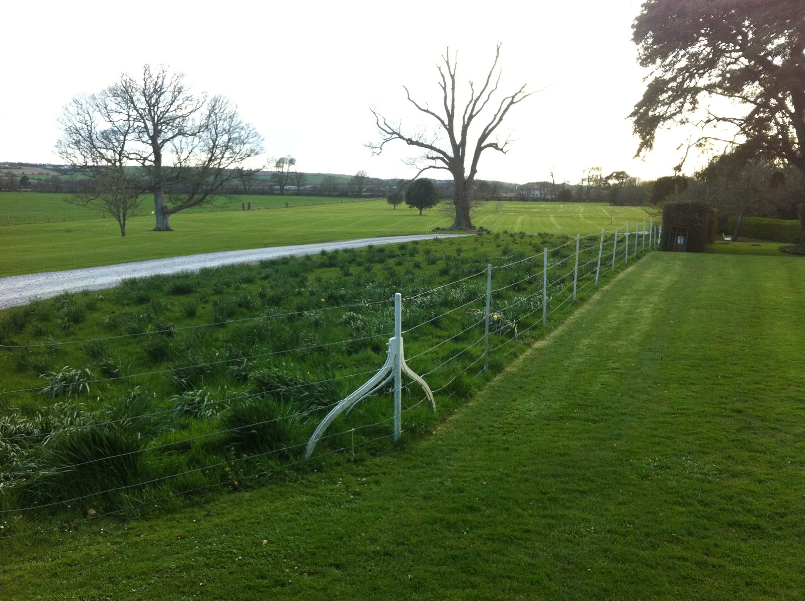 Castlemartyr