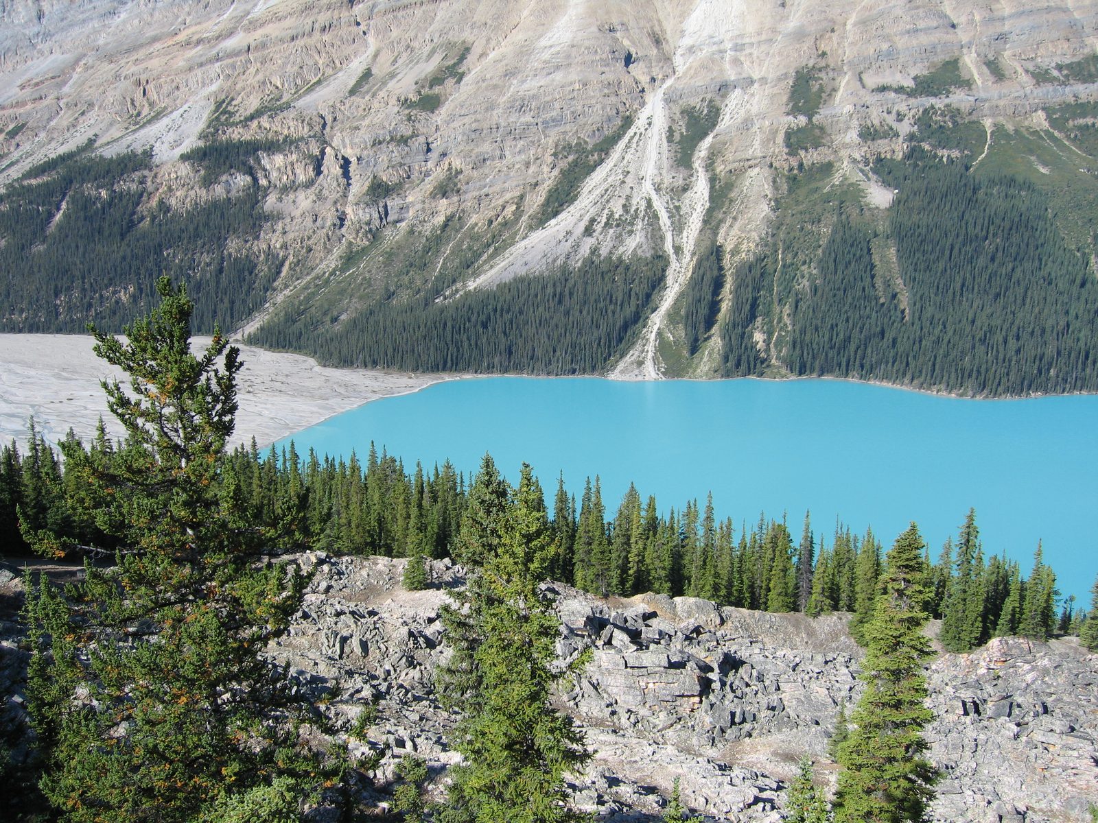 Peyto Lake, Banff-Nationalpark
